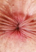 Jasmine Wilde Shows her Holes, Jasmine Wilde (jas061) ATK Exotics: Jasmine Wilde (Jasmine Wilde Shows her Holes)