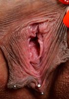 Jaye Summers is a Pierced Latina Hottie, Jaye Summers (jay045) ATK Exotics: Jaye Summers (Jaye Summers is a Pierced Latina Hottie)