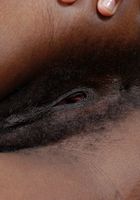 Jazz in black women, Jazz (jaz007) ATK Exotics: Jazz (Jazz in black women)