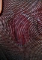 Jennifer in upskirts and panties, Jennifer (jen014) ATK Archives: Jennifer (Jennifer in upskirts and panties)