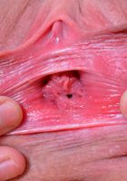 Jessica spreads her long legs and pretty pink pussy, Jessica Rex (jes760) ATK Galleria: Jessica Rex (Jessica spreads her long legs and pretty pink pussy)