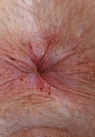 Jessae Rosae Tiny Pink Panties and Pussy, Jessae Rosae (jes765) ATK Petites: Jessae Rosae (Jessae Rosae Tiny Pink Panties and Pussy)