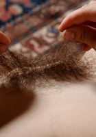 Joe in scary hairy, Joe (joe011) ATK Natural & Hairy: Joe (Joe in scary hairy)