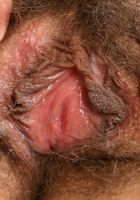 Josie in exotic and hairy, Josie (jos019) ATK Natural & Hairy: Josie (Josie in exotic and hairy)