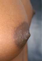 Kadia in upskirts and panties, Kadia (kad001) ATK Exotics: Kadia (Kadia in upskirts and panties)