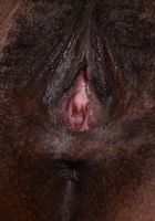 Kahlista Stonem in exotic and hairy, Kahlista Stonem (kah002) ATK Natural & Hairy: Kahlista Stonem (Kahlista Stonem in exotic and hairy)