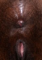 Kahlista Stonem in exotic and hairy, Kahlista Stonem (kah002) ATK Natural & Hairy: Kahlista Stonem (Kahlista Stonem in exotic and hairy)