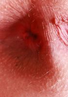 Kallie Taylor is the hairy girl you're looking for, Kallie Taylor (kal019) ATK Natural & Hairy: Kallie Taylor (Kallie Taylor is the hairy girl you're looking for)