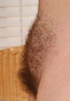 Thick hairy babe Kari teases in her lingerie, Kari (kar056) ATK Exotics: Kari (Thick hairy babe Kari teases in her lingerie)