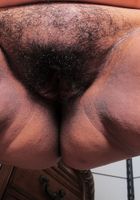Karla Lane in exotic and hairy, Karla Lane (kar065) ATK Natural & Hairy: Karla Lane (Karla Lane in exotic and hairy)