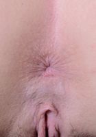 Kasey Warner in upskirts and panties, Kasey Warner (kas007) ATK Natural & Hairy: Kasey Warner (Kasey Warner in upskirts and panties)
