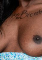 Kay Love is a Black Beauty, Kay Love (kay042) ATK Exotics: Kay Love (Kay Love is a Black Beauty)