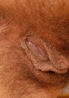 Kelly in scary hairy, Kelly (kel042) ATK Petites: Kelly (Kelly in scary hairy)