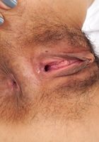 Kimmi in exotic and hairy, Kimmi (kim035) ATK Petites: Kimmi (Kimmi in exotic and hairy)