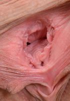Kimberly Brix is a Treasure, Kimberly Brix (kim058) ATK Petites: Kimberly Brix (Kimberly Brix is a Treasure)