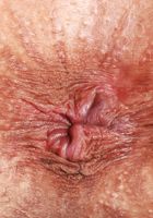 Kimmy Kimm Outdoor Spreading, Kimmy Kimm (kim069) ATK Exotics: Kimmy Kimm (Kimmy Kimm Outdoor Spreading)