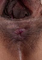 Kinky Gaga from ATK Natural & Hairy