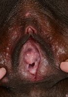 Kinsley Karter in black women, Kinsley Karter (kin010) ATK Exotics: Kinsley Karter (Kinsley Karter in black women)