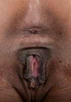 Kira Noir loves to be naked and spreading, Kira Noir (kir027) ATK Exotics: Kira Noir (Kira Noir loves to be naked and spreading)