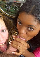 Kitty in blowjob, Kitty (kit003) ATK Exotics: Kitty (Kitty in blowjob)