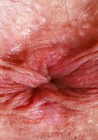 Kitty Cam Spreads her Ass, Kitty Cam (kit039) ATK Petites: Kitty Cam (Kitty Cam Spreads her Ass)