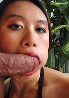 Kiwi in blowjob, Kiwi (kiw002) ATK Exotics: Kiwi (Kiwi in blowjob)
