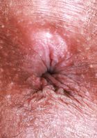 Kourtney Ally Pussy Gaping, Kourtney Ally (kou003) ATK Petites: Kourtney Ally (Kourtney Ally Pussy Gaping)