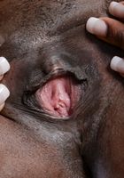 Ebony Krystal strips naked outside, Krystal Blake (kry019) ATK Exotics: Krystal Blake (Ebony Krystal strips naked outside)