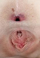 Krystal spreads her pink meat to gape, Krystal Orchid (kry020) ATK Petites: Krystal Orchid (Krystal spreads her pink meat to gape)