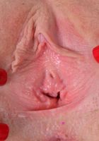 Elaina spreads her tender pink pussy., Elaina Raye (kyl018) ATK Galleria: Elaina Raye (Elaina spreads her tender pink pussy.)