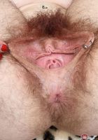 Lauren Laurent in young and hairy, Lauren Laurent (lau067) ATK Natural & Hairy: Lauren Laurent (Lauren Laurent in young and hairy)