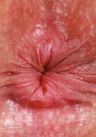 Leana Lovings Juicy Ass Spreads, Leana Lovings (lea049) ATK Petites: Leana Lovings (Leana Lovings Juicy Ass Spreads)