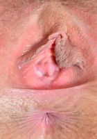Leona spreads her mature hairy pussy and ass, Leona (leo010) ATK Natural & Hairy: Leona (Leona spreads her mature hairy pussy and ass)