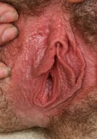 Lily super hairy all over, Lily (lil038) ATK Archives: Lily (Lily super hairy all over)