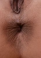 Lilly Hall in latinas, Lilly Hall (lil090) ATK Exotics: Lilly Hall (Lilly Hall in latinas)