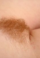 Lola in young and hairy, Lola (lol023) ATK Petites: Lola (Lola in young and hairy)