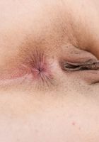Lola Pearl in upskirts and panties, Lola Pearl (lol040) ATK Exotics: Lola Pearl (Lola Pearl in upskirts and panties)