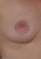Lotus in amateur, Lotus (lot001) ATK Archives: Lotus (Lotus in amateur)