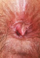 Lucy Sunflower from ATK Natural & Hairy