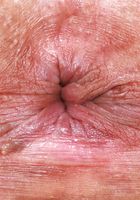 Lulu Sparkle Big Hairy Pussy Spreads, Lulu Sparkle (lul009) ATK Natural & Hairy: Lulu Sparkle (Lulu Sparkle Big Hairy Pussy Spreads)