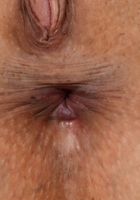 Luna Leve in latinas, Luna Leve (lun008) ATK Exotics: Luna Leve (Luna Leve in latinas)
