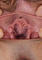 Luna Leve in latinas, Luna Leve (lun008) ATK Exotics: Luna Leve (Luna Leve in latinas)