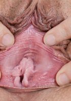 Luna Leve in latinas, Luna Leve (lun008) ATK Exotics: Luna Leve (Luna Leve in latinas)