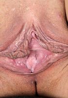 Latina Luna strips naked outside, Luna Leve (lun008) ATK Exotics: Luna Leve (Latina Luna strips naked outside)