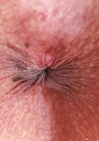 Luxe La Fox Pussy Close Ups, Luxe La Fox (lux005) ATK Exotics: Luxe La Fox (Luxe La Fox Pussy Close Ups)