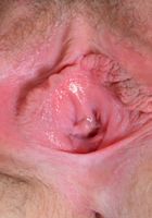 Maci gives up her pink young bush, Maci May (mac016) ATK Natural & Hairy: Maci May (Maci gives up her pink young bush)