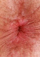 Madi Laine Spreading, Madi Laine (mad052) ATK Exotics: Madi Laine (Madi Laine Spreading)