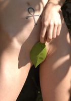 Maystar in nudism, Maystar (may001) ATK Exotics: Maystar (Maystar in nudism)