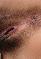 Maya is one hot island girl that shows off her very hairy body, Maya (may008) ATK Exotics: Maya (Maya is one hot island girl that shows off her very hairy body)