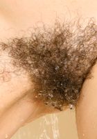 Hairy amateur babe Mecca teases and spreads her hairy pussy, Mecca Cooke (mec001) ATK Archives: Mecca Cooke (Hairy amateur babe Mecca teases and spreads her hairy pussy)